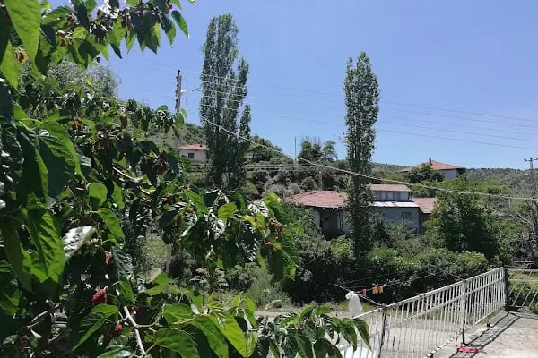 Ahmetradil Köyü Cami - Resim 6