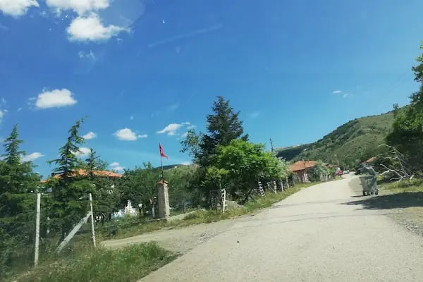 Ahmetradil Köyü Cami - Resim 15