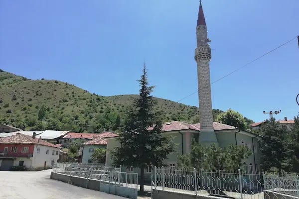 Ahmetradil Köyü Cami - Resim 8