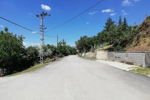 Ahmetradil Köyü Cami - Resim 18