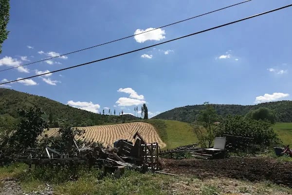 Ahmetradil Köyü Cami - Resim 11