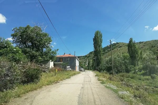 Ahmetradil Köyü Cami - Resim 17