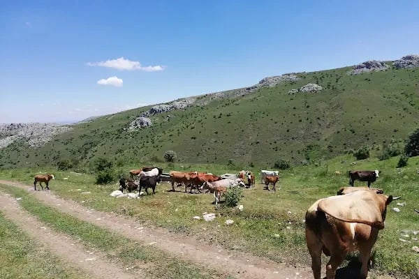 Ahmetradil Köyü Cami - Resim 16