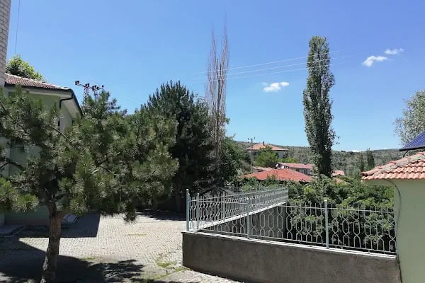 Ahmetradil Köyü Cami - Resim 9