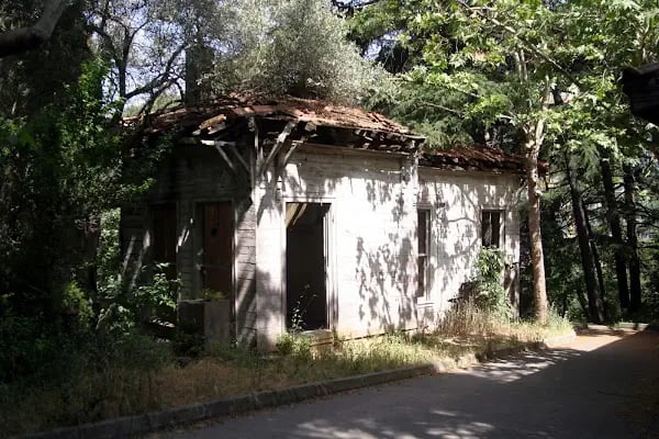 Süreyyapaşa Türbesi - Resim 6