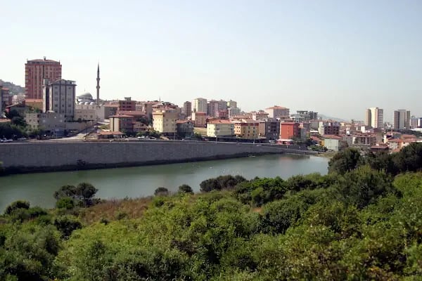 Süreyyapaşa Türbesi - Resim 7