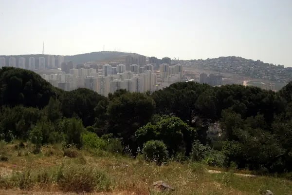 Süreyyapaşa Türbesi - Resim 5