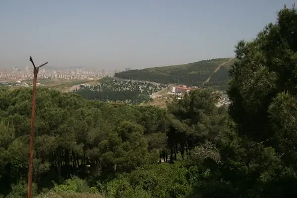 Süreyyapaşa Türbesi - Resim 4