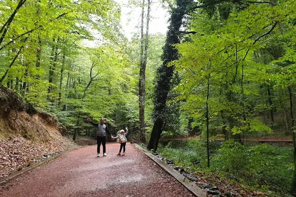 Kirazlıbent Milli Parkı - Resim 13