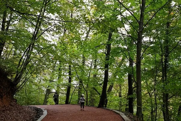 Kirazlıbent Milli Parkı - Resim 1