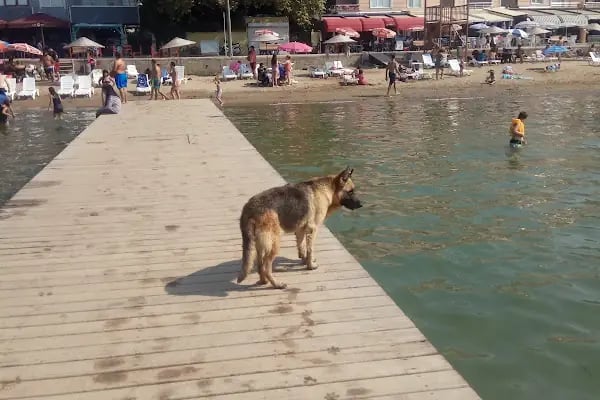Kumyalı Plajı - Resim 19