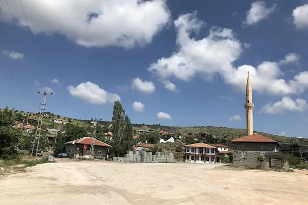 Bayat Köyü Muhtarlığı - Resim 2