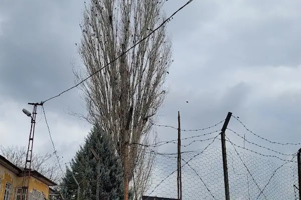Tiridzade Hacı Hüseyin Efendi Türbesi - Resim 7