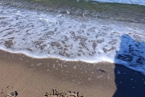 Sazlıca Foça Kamp Alanı - Resim 16