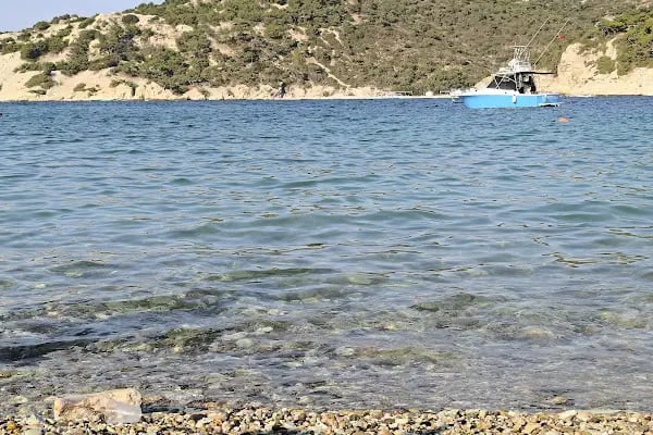 Sazlıca Foça Kamp Alanı - Resim 4
