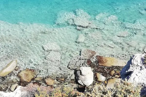 Sazlıca Foça Kamp Alanı - Resim 13