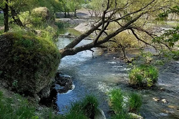 İnönü Mağaraları - Resim 15