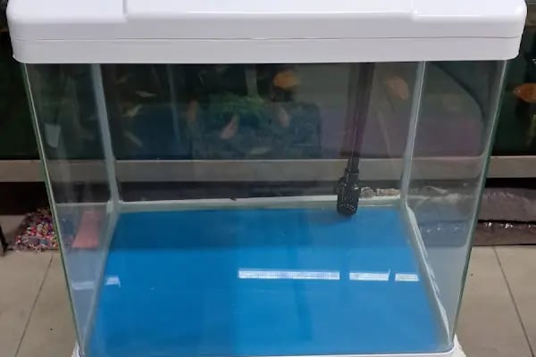 Mekân Malawi Petshop &amp; Akvaryum - Resim 4