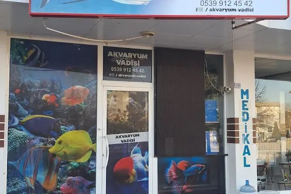 Mekân Malawi Petshop &amp; Akvaryum - Resim 2