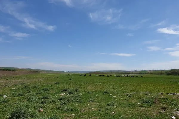Sazlıdere Barajı - Resim 15