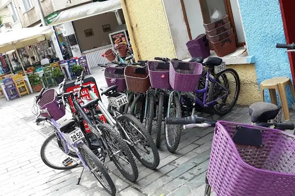 Akbulut bisiklet, kiralik bisiklet, rent a bike - Resim 2
