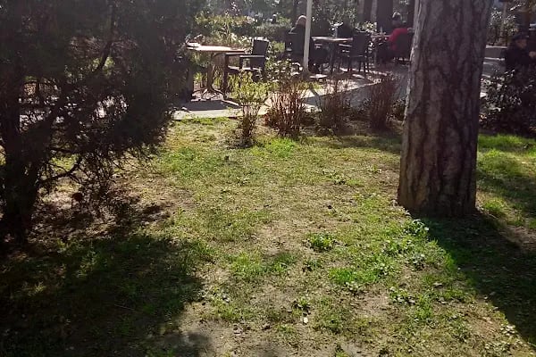 Millî Hakimiyet Parkı - Resim 17