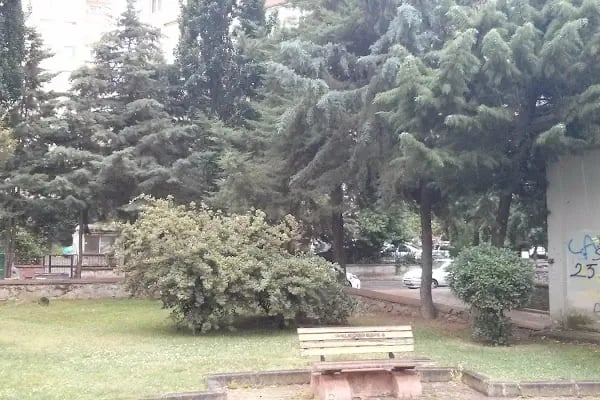Şelale Park - Resim 16