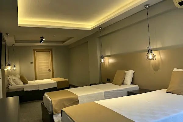 Panula Park Hotel - Resim 4