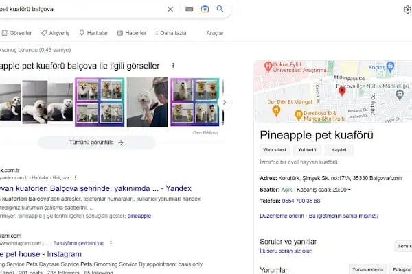 Pineapple pet kuaförü - Resim 14