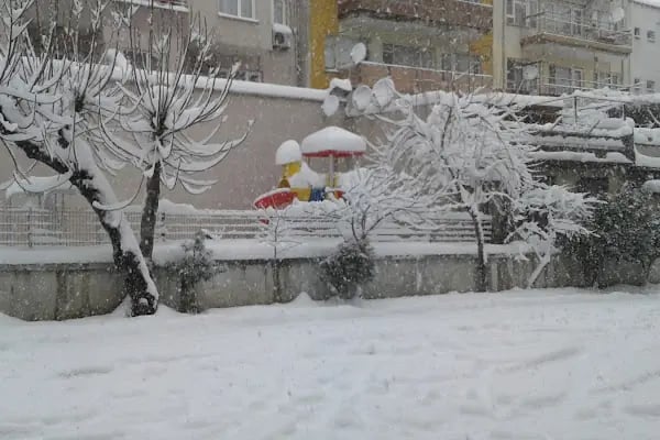 Kafkas Düğün Salonu - Resim 11