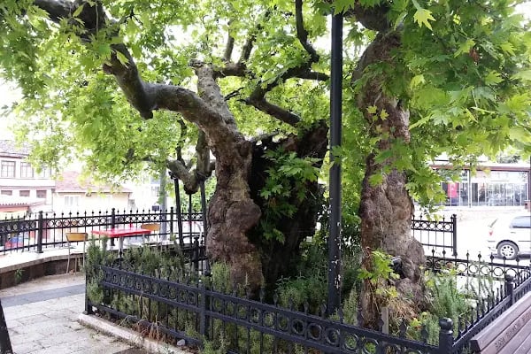 Umurbey Çarşı Cami - Resim 10
