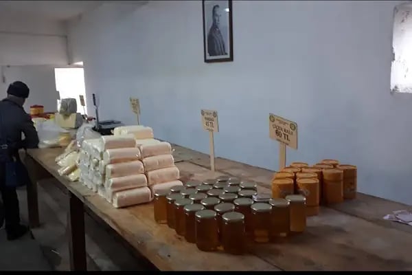 Boğatepe Peynir Müzesi - Resim 15