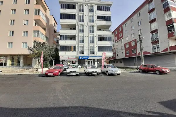 Çerkezköy Yurtiçi Kargo Mimoza - Resim 5