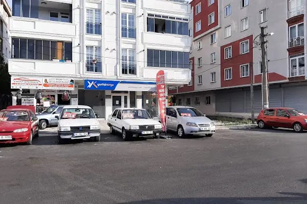 Çerkezköy Yurtiçi Kargo Mimoza - Resim 9