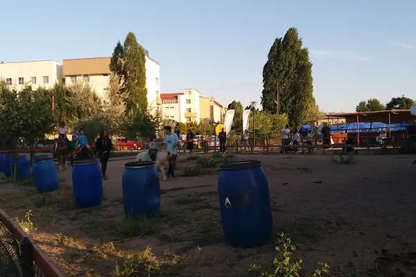 Çankaya Binicilik - Resim 20