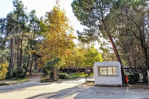 Çamlık Hayvanat Bahçesi - Resim 9