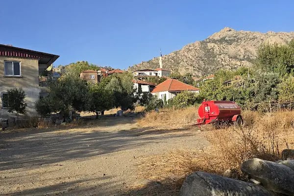 Apollon Kutsal Alanı - Resim 16