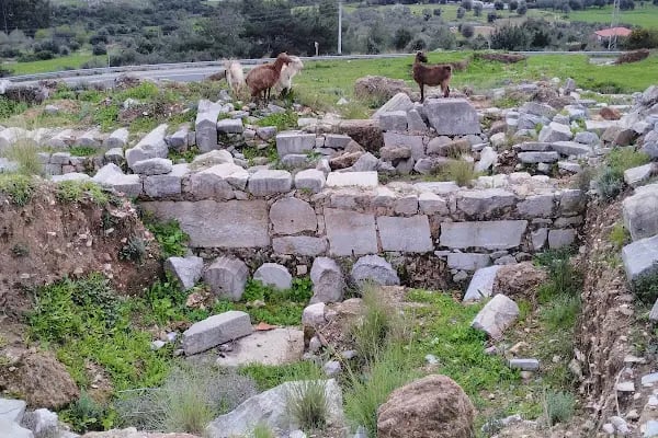 Apollon Kutsal Alanı - Resim 6