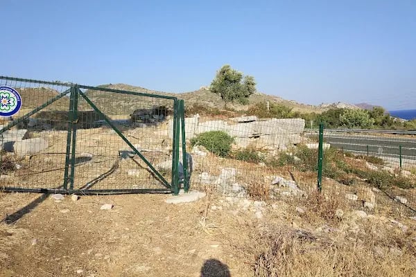 Apollon Kutsal Alanı - Resim 19