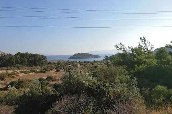Apollon Kutsal Alanı - Resim 15