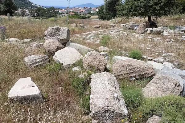 Apollon Kutsal Alanı - Resim 2