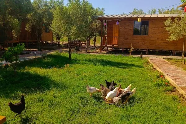 Finike Bungalov - Resim 19