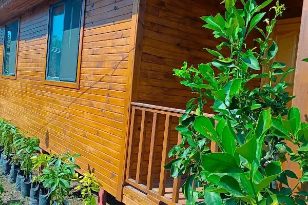 Finike Bungalov - Resim 9