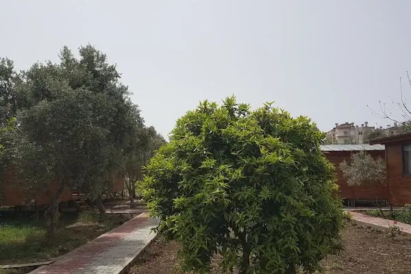 Finike Bungalov - Resim 14