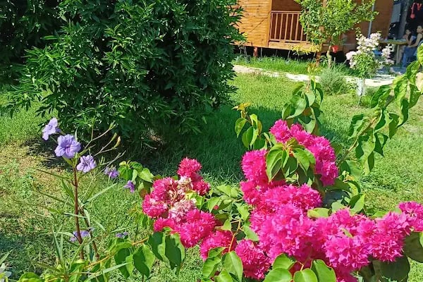 Finike Bungalov - Resim 18