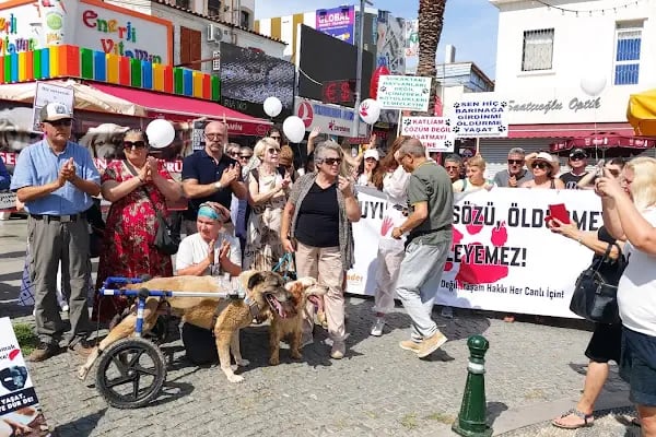 Veteriner Hekim Barış Ayan - Resim 18