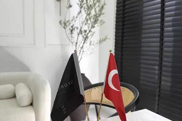 Gemlik'te Temizlik (Daire Koltuk ve halı temizliği) - Resim 14
