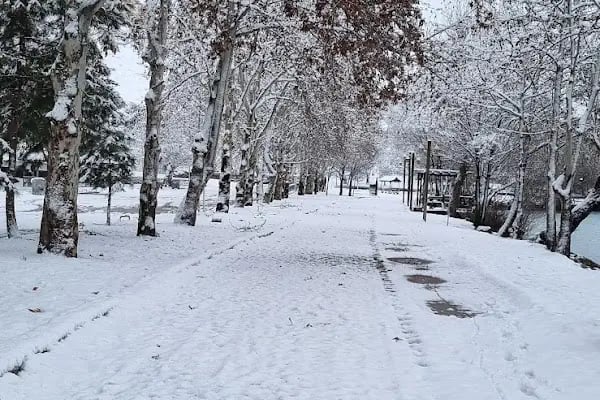 Orduzu Pınar Başı Yüzme Havuzu - Resim 9