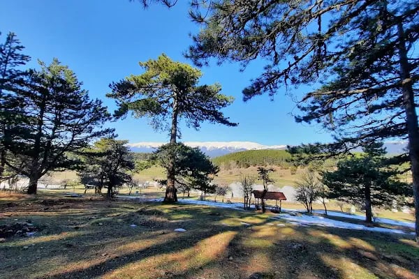 kocayayla karavan park ve piknik alani - Resim 6