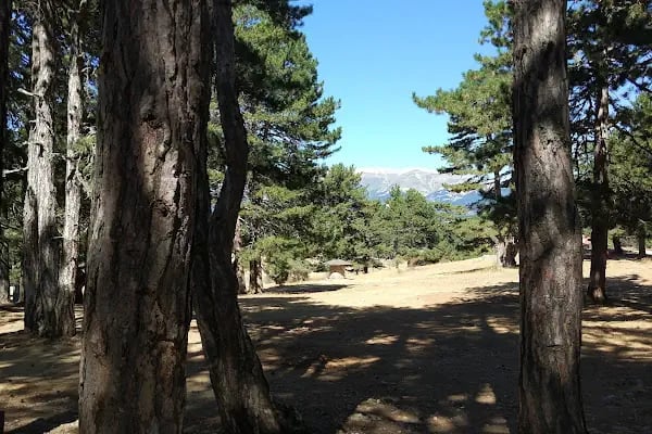 kocayayla karavan park ve piknik alani - Resim 3